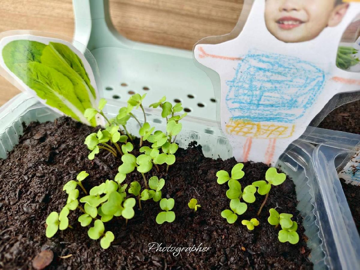 line_album_20260422_260423_67