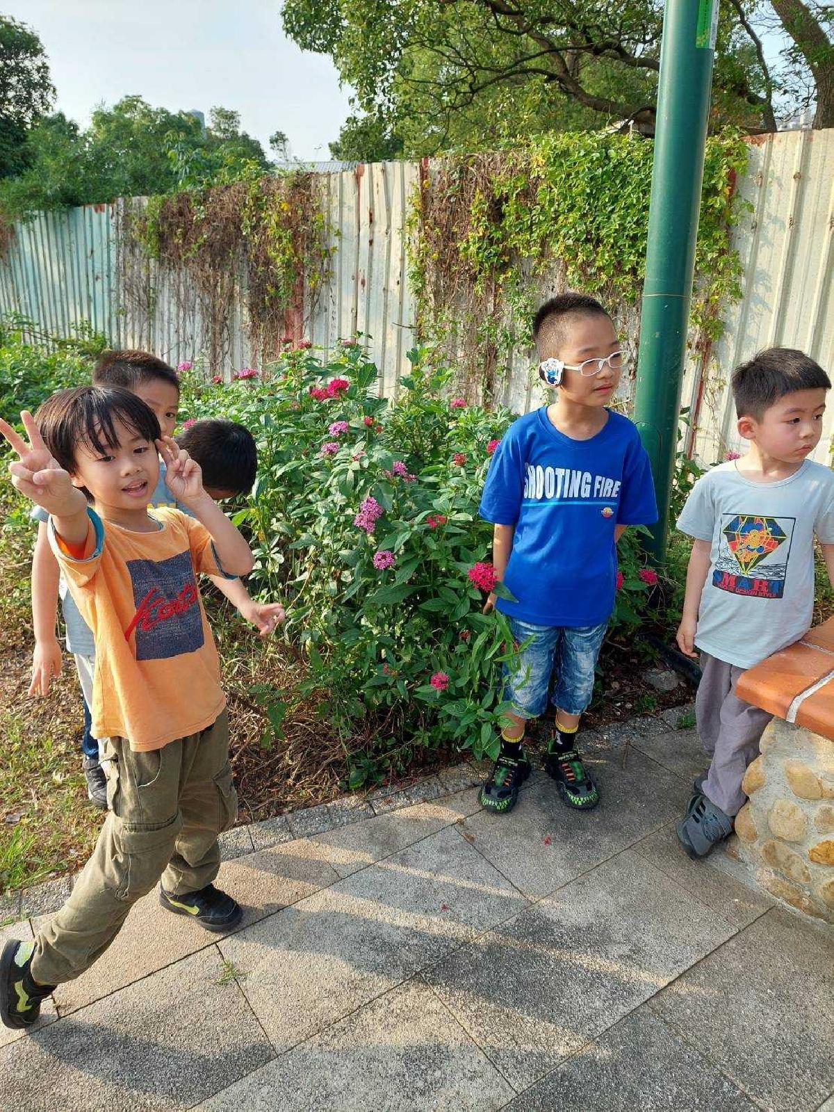 鑊篤陂公園高峰活動
