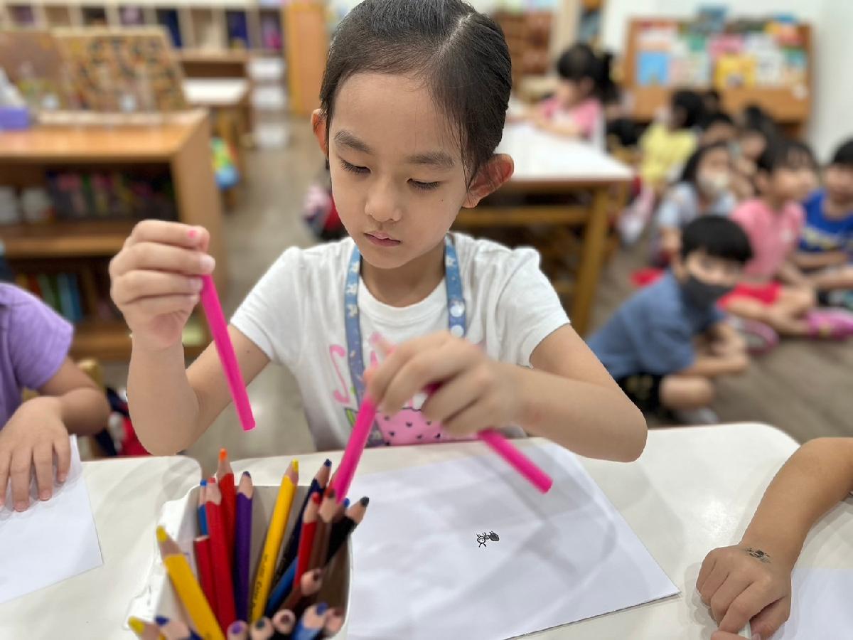 line_album_暑托第五週 混齡班_240731_104