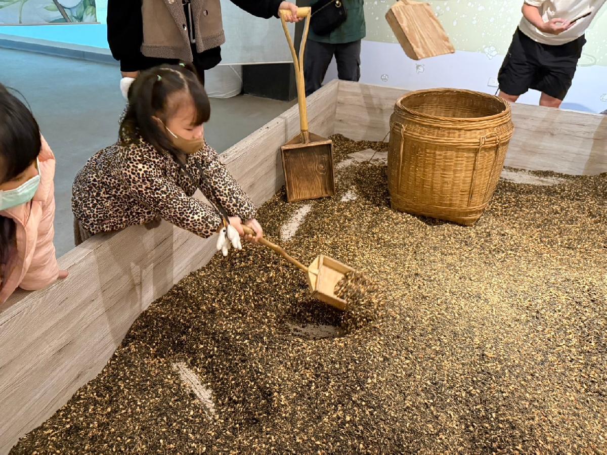 line_album_平安班戶外教學_241213_47