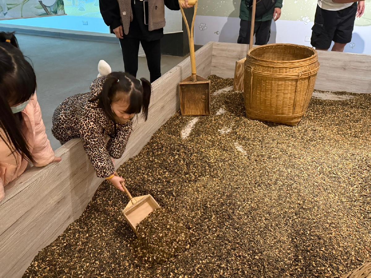 line_album_平安班戶外教學_241213_45