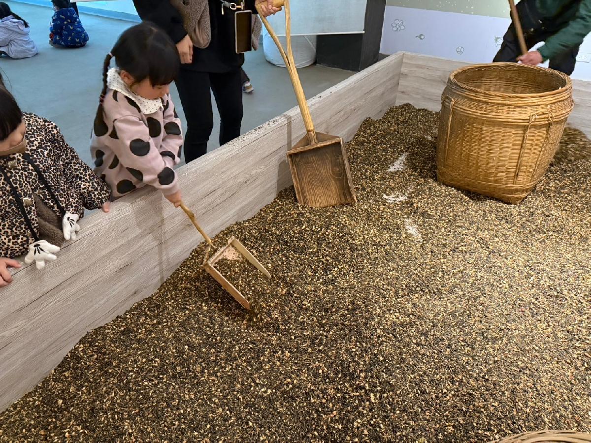 line_album_平安班戶外教學_241213_42