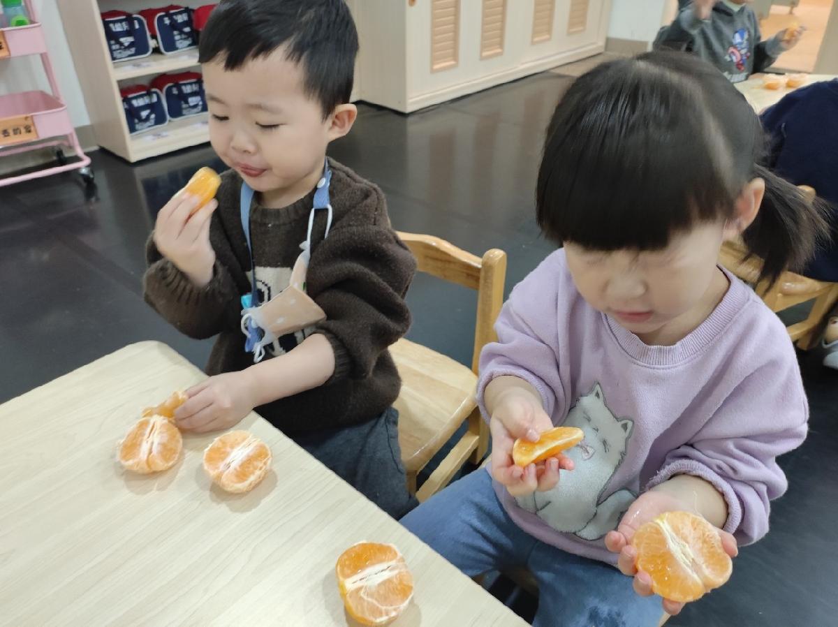 113-2義民分班第二週活動花絮