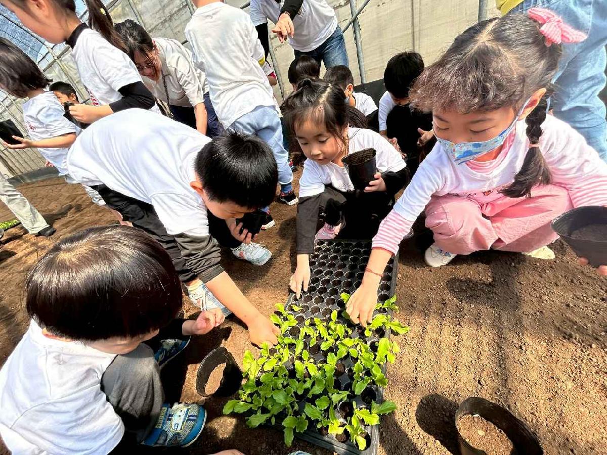 line_album_2026317_260327_12